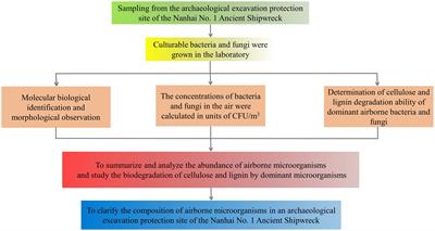 Analysis of the composition of culturable airborne microorganisms in the archaeological excavation protection site of the Nanhai No. 1 Ancient Shipwreck